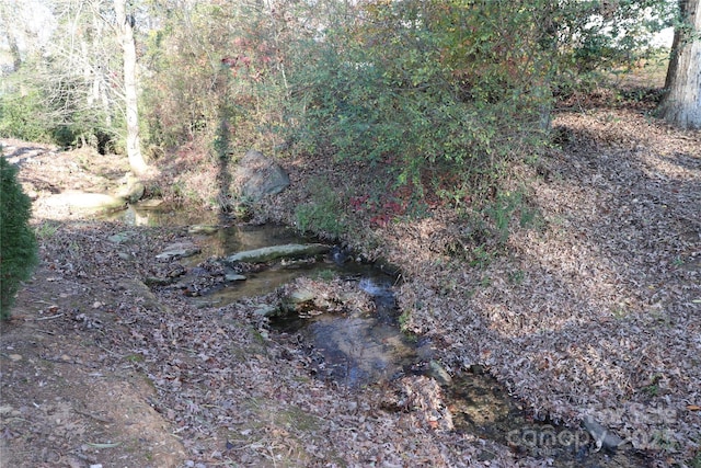 view of landscape with a wooded view