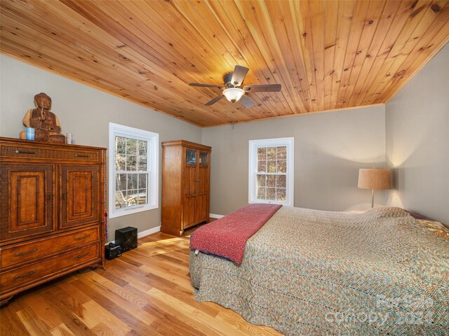 2033 Lower Paw Paw Rd, Marshall, NC 28753 - photo 14