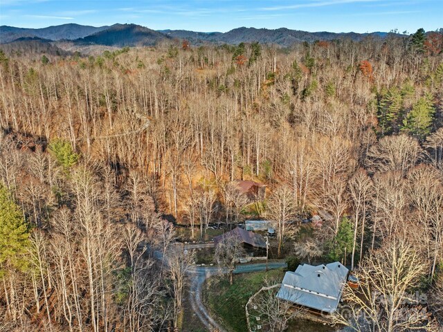 2033 Lower Paw Paw Rd, Marshall, NC 28753 - photo 29