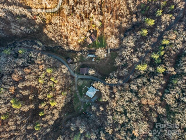 2033 Lower Paw Paw Rd, Marshall, NC 28753 - photo 30