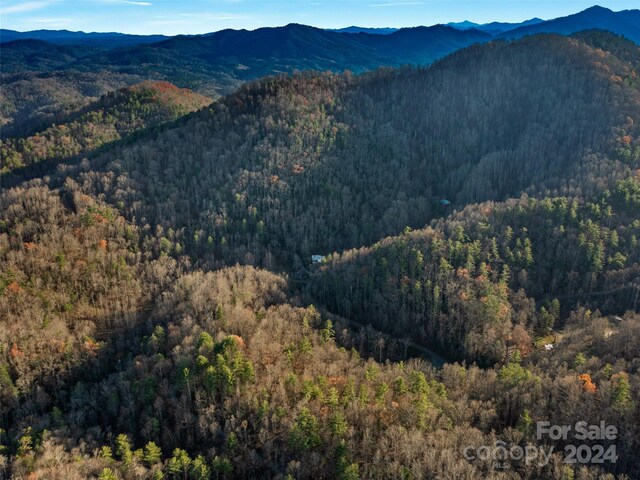 2033 Lower Paw Paw Rd, Marshall, NC 28753 - photo 31