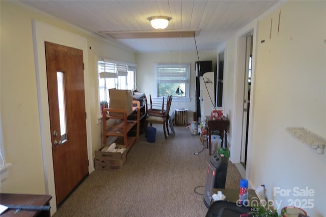 dining area featuring radiator heating unit and carpet