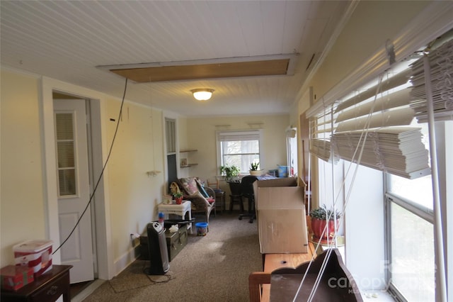 miscellaneous room featuring carpet and attic access