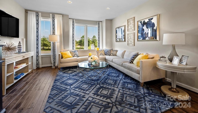 living room with dark hardwood / wood-style floors