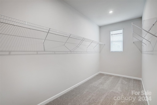 spacious closet featuring carpet floors