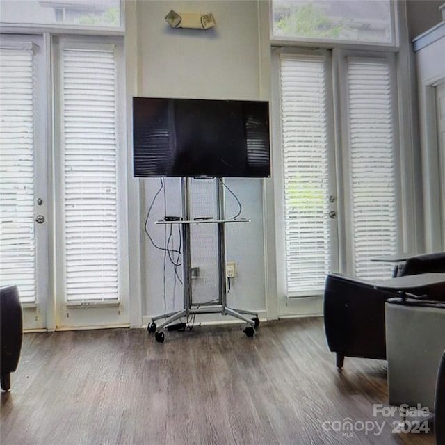 workout area featuring a wealth of natural light and hardwood / wood-style floors