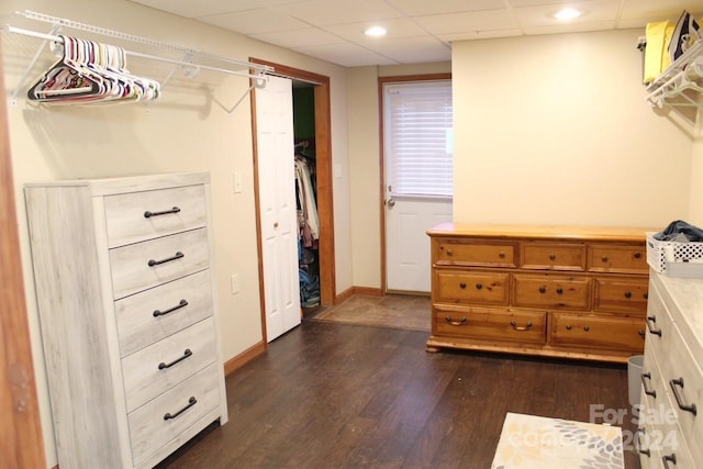 spacious closet featuring a paneled ceiling and dark wood-type flooring