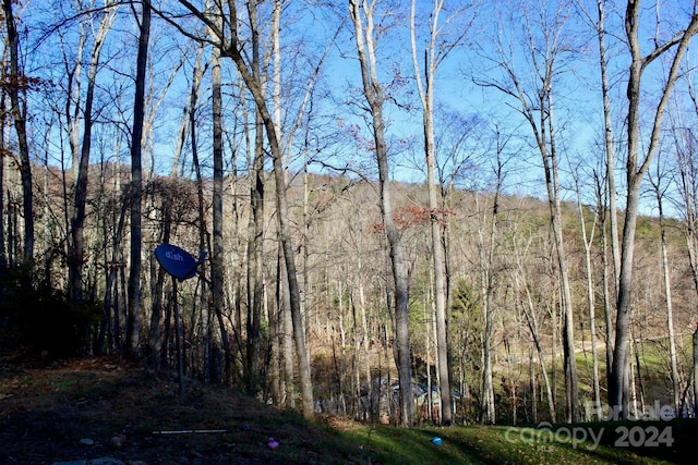 view of local wilderness