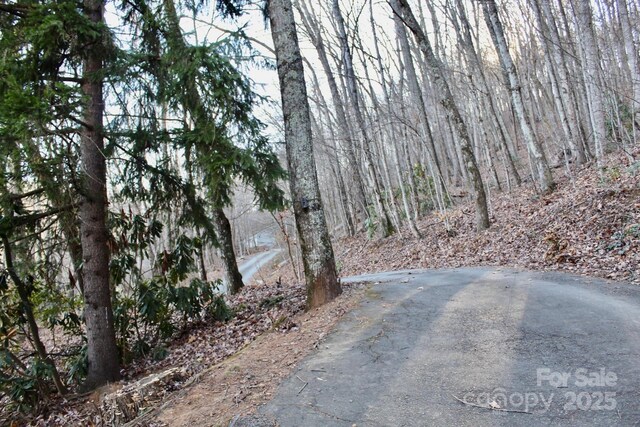 141 Charity Ln, Candler, NC 28715 - photo 31