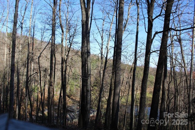 141 Charity Ln, Candler, NC 28715 - photo 33