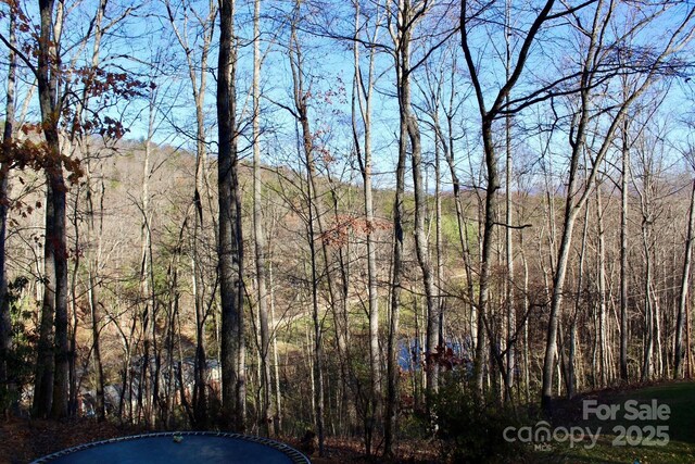141 Charity Ln, Candler, NC 28715 - photo 35