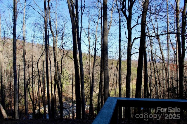141 Charity Ln, Candler, NC 28715 - photo 37