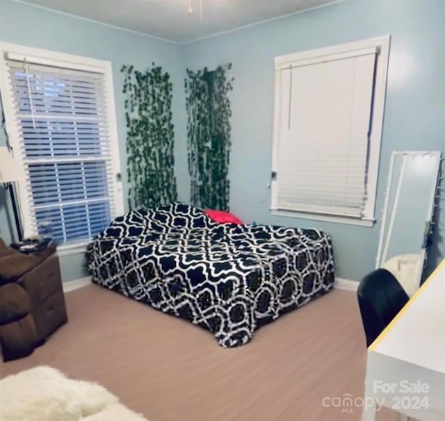 bedroom with hardwood / wood-style floors