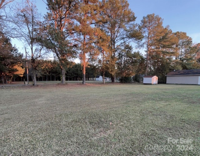 view of yard featuring a storage shed