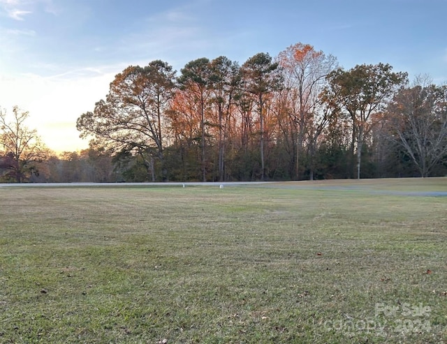 view of yard at dusk