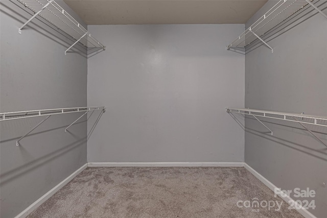 spacious closet featuring carpet floors