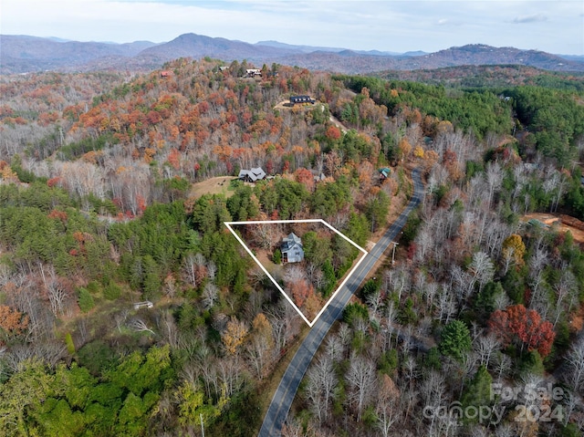 drone / aerial view with a mountain view