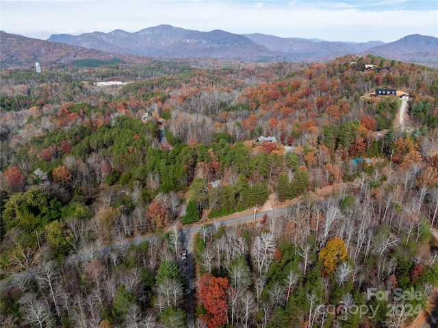 property view of mountains