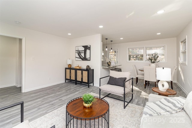 living room featuring light hardwood / wood-style flooring