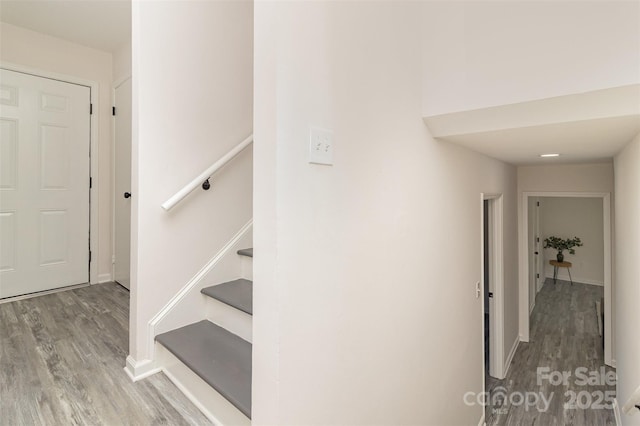 staircase featuring hardwood / wood-style flooring