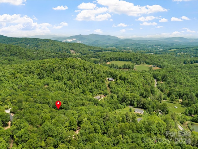 birds eye view of property with a mountain view