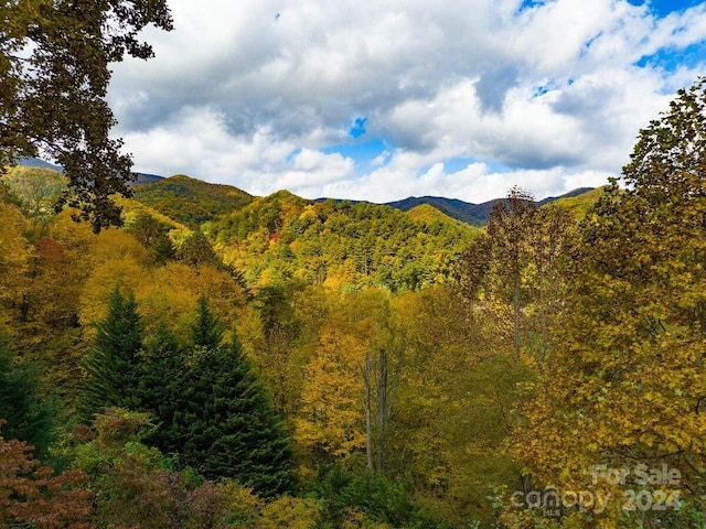 view of mountain feature