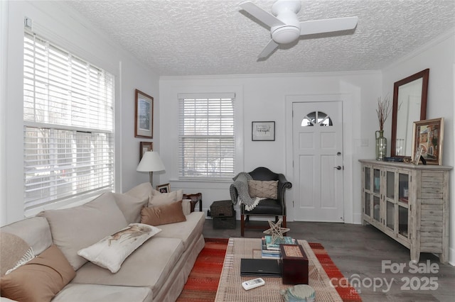 living room featuring a wealth of natural light, a textured ceiling, ceiling fan, and ornamental molding