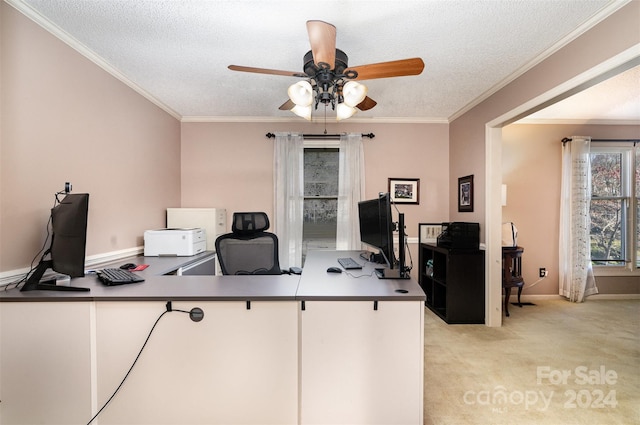 office space featuring ceiling fan, light colored carpet, a textured ceiling, and ornamental molding