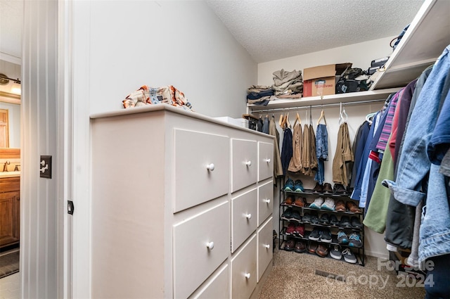 spacious closet featuring light colored carpet