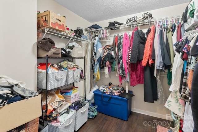 spacious closet featuring dark hardwood / wood-style floors