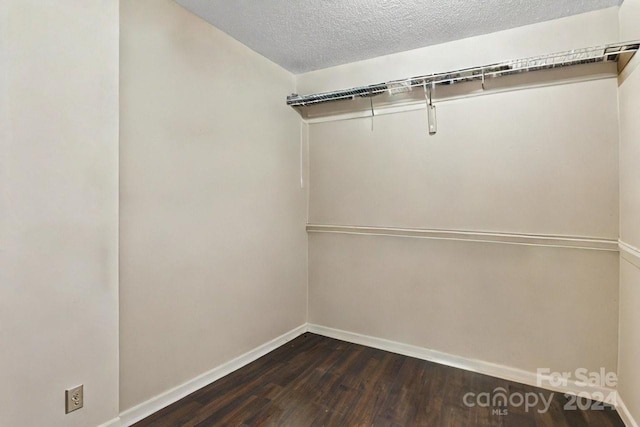 spacious closet with dark wood-type flooring