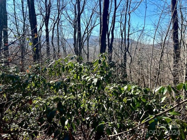 Listing photo 2 for 9999-1 Nesbitt Chapel Rd, Fairview NC 28730