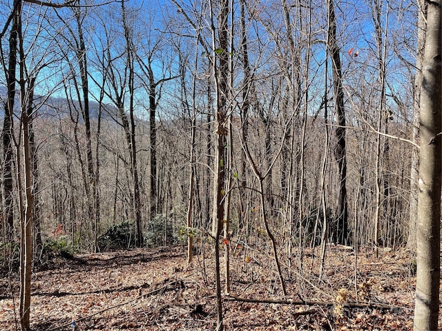 9999-1 Nesbitt Chapel Rd, Fairview, NC 28730