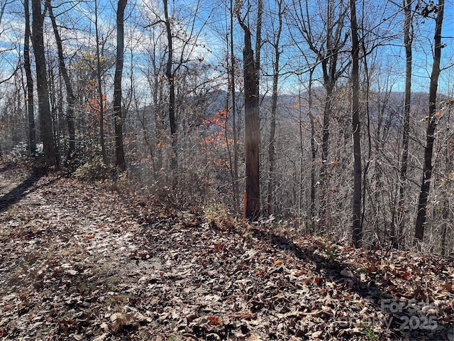 9999-1 Nesbitt Chapel Rd, Fairview, NC 28730