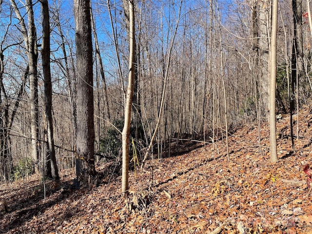 9999-1 Nesbitt Chapel Rd, Fairview, NC 28730