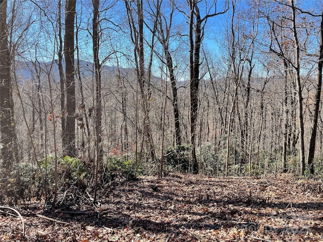 9999-1 Nesbitt Chapel Rd, Fairview, NC 28730