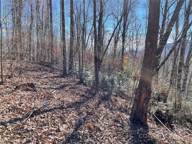 9999-1 Nesbitt Chapel Rd, Fairview, NC 28730