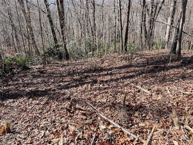 9999-1 Nesbitt Chapel Rd, Fairview, NC 28730