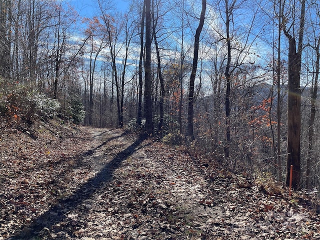 9999-1 Nesbitt Chapel Rd, Fairview, NC 28730