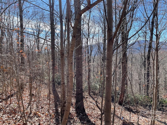 9999-1 Nesbitt Chapel Rd, Fairview, NC 28730