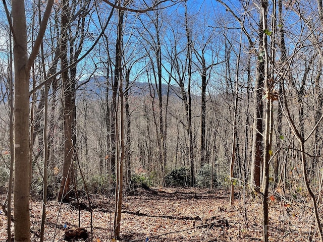 9999-1 Nesbitt Chapel Rd, Fairview, NC 28730