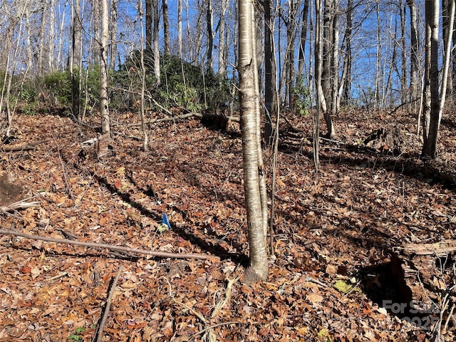 9999-1 Nesbitt Chapel Rd, Fairview, NC 28730