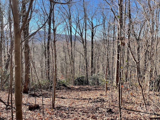 9999-1 Nesbitt Chapel Rd, Fairview, NC 28730