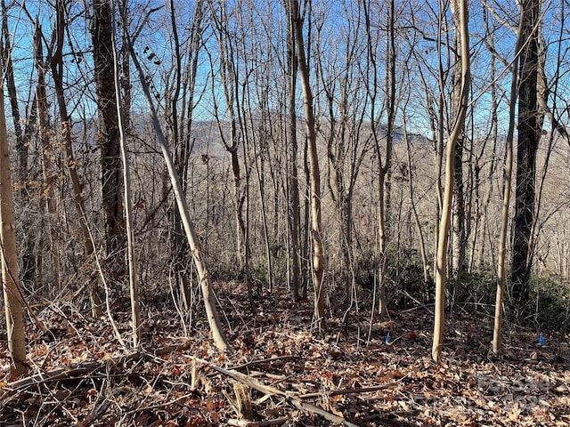 9999-1 Nesbitt Chapel Rd, Fairview, NC 28730
