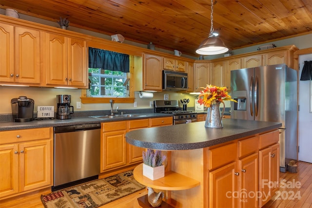 kitchen with appliances with stainless steel finishes, a center island, and light hardwood / wood-style floors