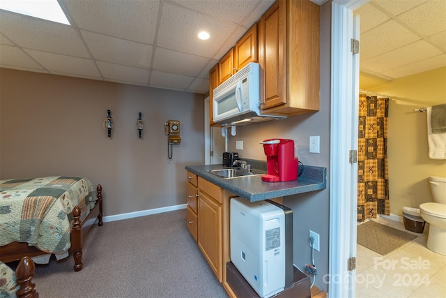 kitchen with a drop ceiling, sink, and light carpet