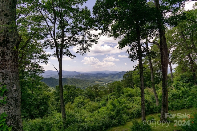 view of mountain feature