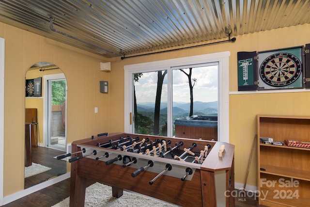 playroom featuring a mountain view and dark wood-type flooring