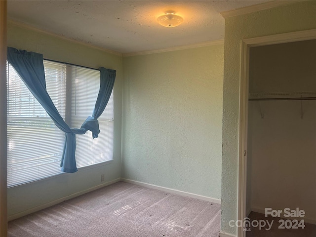 interior space with light carpet and ornamental molding