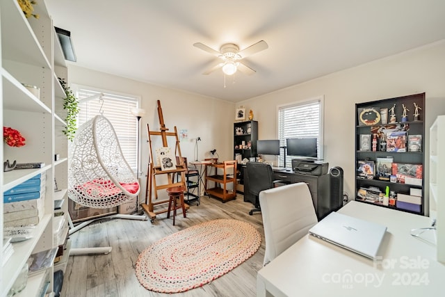 office featuring ceiling fan and light hardwood / wood-style floors